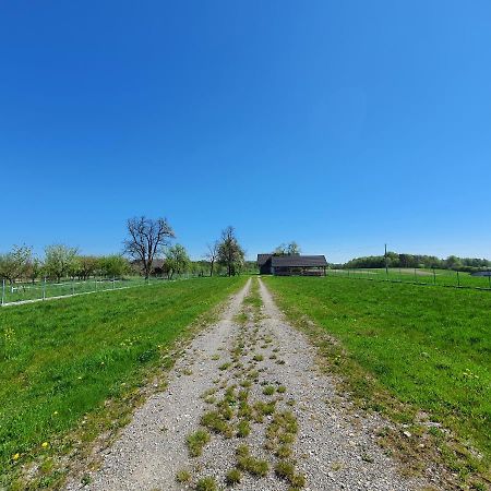Zielone Zagrody - Stafieje Villa Grodzisko Dolne Luaran gambar