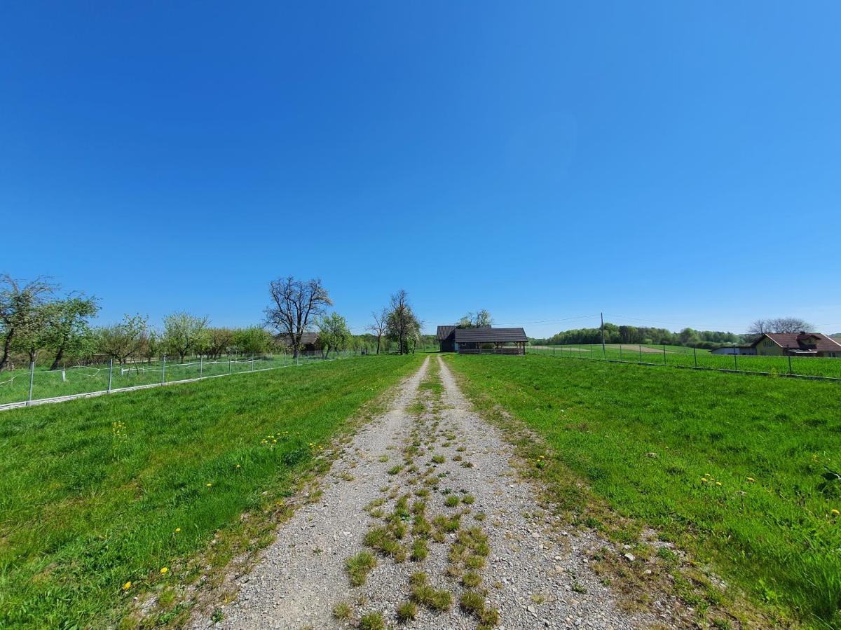 Zielone Zagrody - Stafieje Villa Grodzisko Dolne Luaran gambar